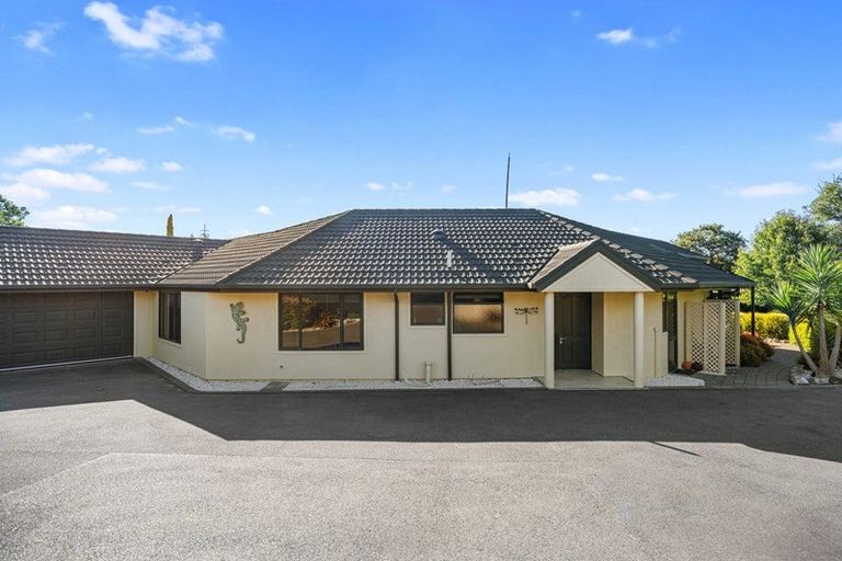 Photo of property in 56 Hill Street, Richmond, 7020