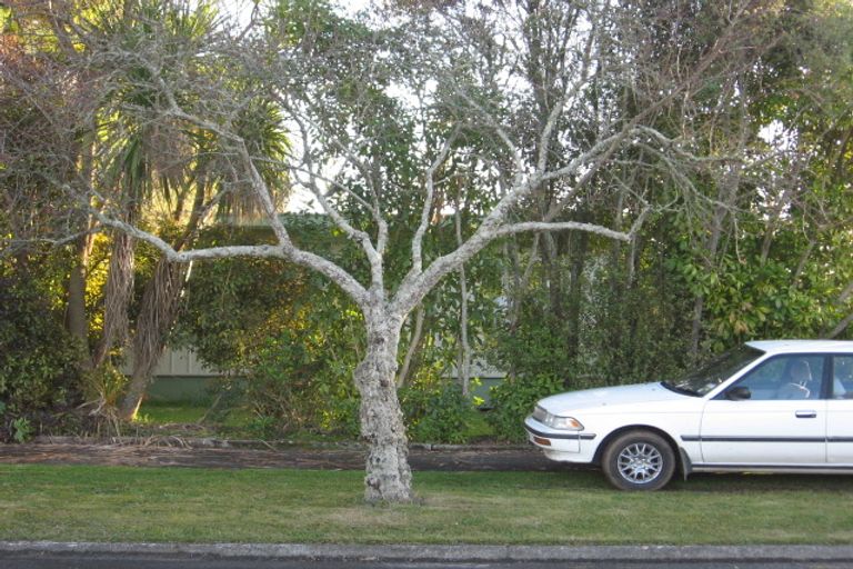 Photo of property in 233a Dey Street, Hamilton East, Hamilton, 3216