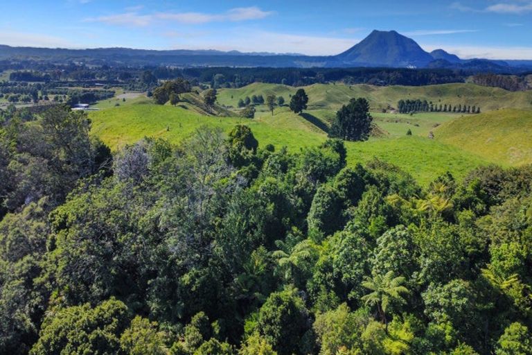 Photo of property in 109 Mcivor Road, Rotoma, Whakatane, 3192