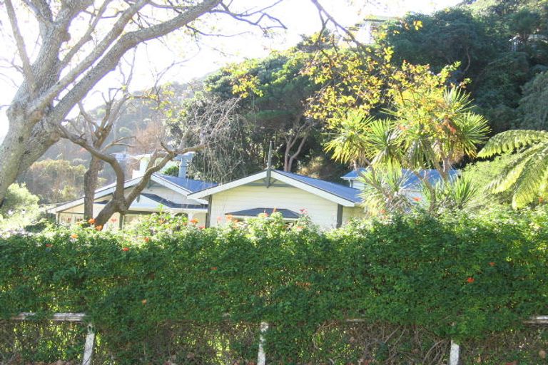 Photo of property in 29 Nikau Street, Eastbourne, Lower Hutt, 5013