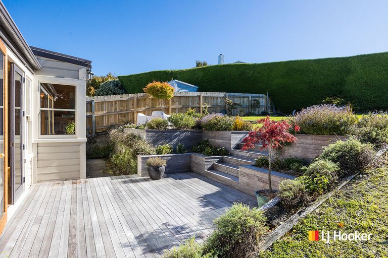 Photo of property in 31 Kilgour Street, Roslyn, Dunedin, 9010