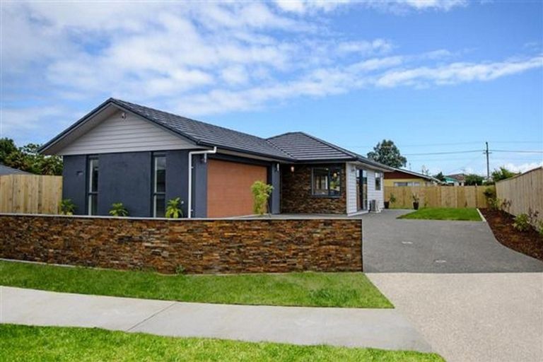 Photo of property in 25 Buckingham Place, Springvale, Whanganui, 4501