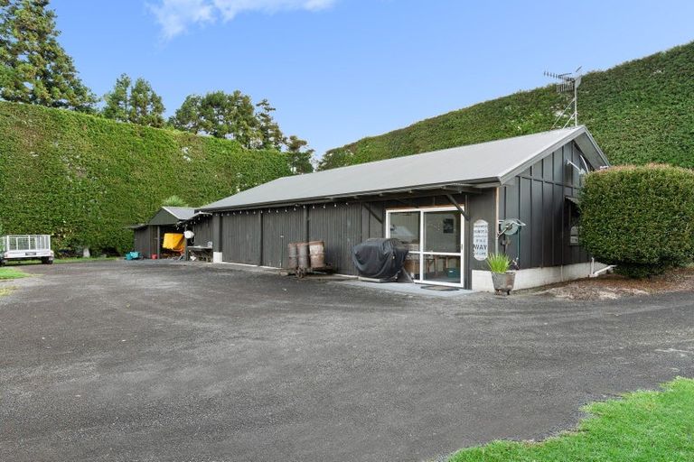 Photo of property in 241 Rea Road, Tahawai, Katikati, 3178