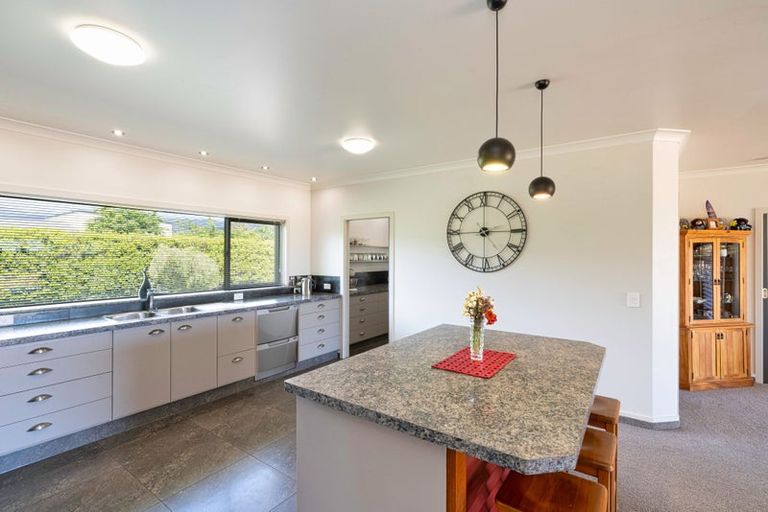 Photo of property in 347a Tararua Road, Levin, 5571
