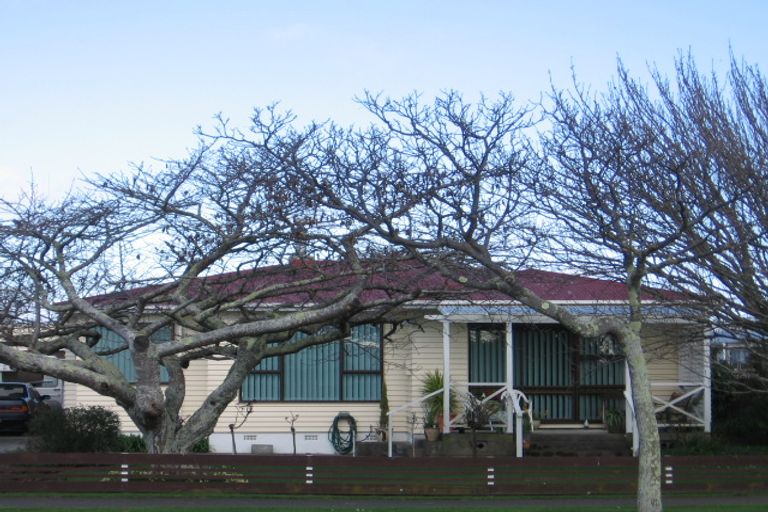 Photo of property in 149 Queen Street West, Levin, 5510