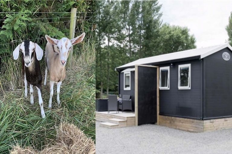 Photo of property in 340 Perymans Road, Lincoln, Christchurch, 7672