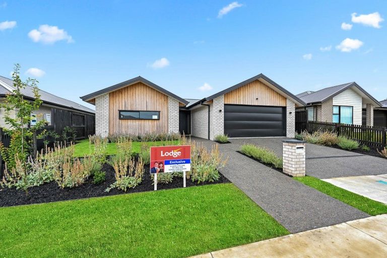 Photo of property in 16 Harp Street, Morrinsville, 3300