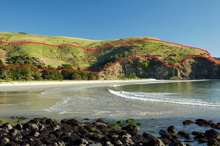 Photo of property in 205 Heyward Point Road, Heyward Point, Port Chalmers, 9081