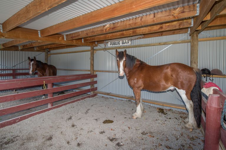 Photo of property in 277 Hororata Road, Hororata, Darfield, 7572