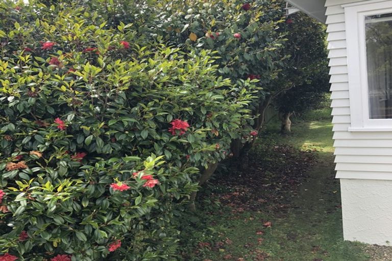 Photo of property in 317 River Road, Claudelands, Hamilton, 3214