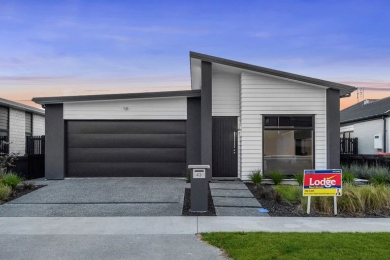 Photo of property in 43 Probert Crescent, Chartwell, Hamilton, 3210