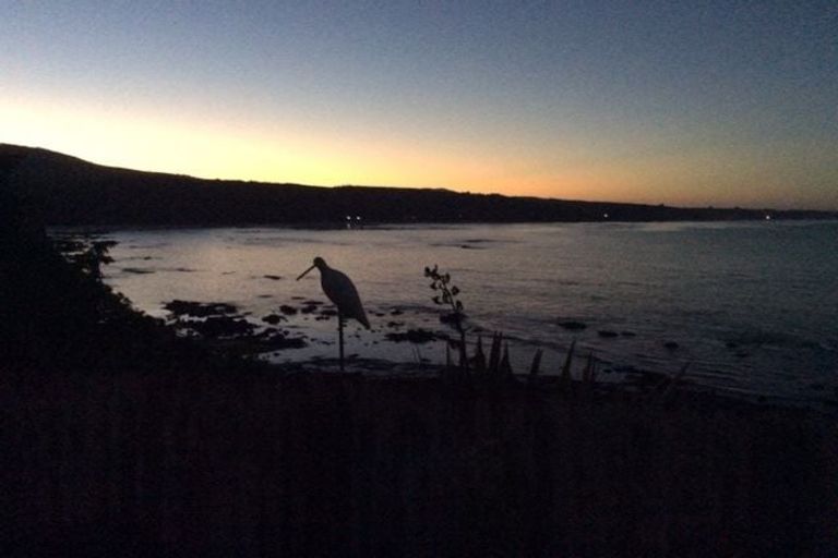 Photo of property in 67 Shag Point Road, Shag Point, Palmerston, 9482