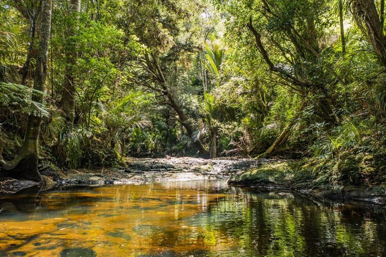 Photo of property in 109 Blackbridge Road, Dairy Flat, Albany, 0794