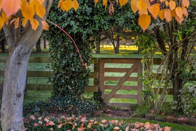 Photo of property in 161 Upper Manaia Road, Upper Plain, Masterton, 5888