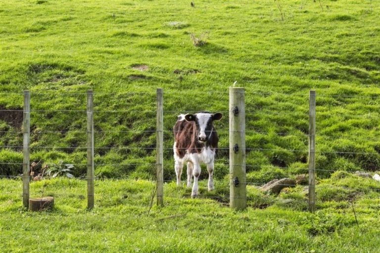 Photo of property in 52 Denby Road, Hawera, 4672