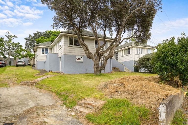 Photo of property in 25 Hutchinson Avenue, New Lynn, Auckland, 0600