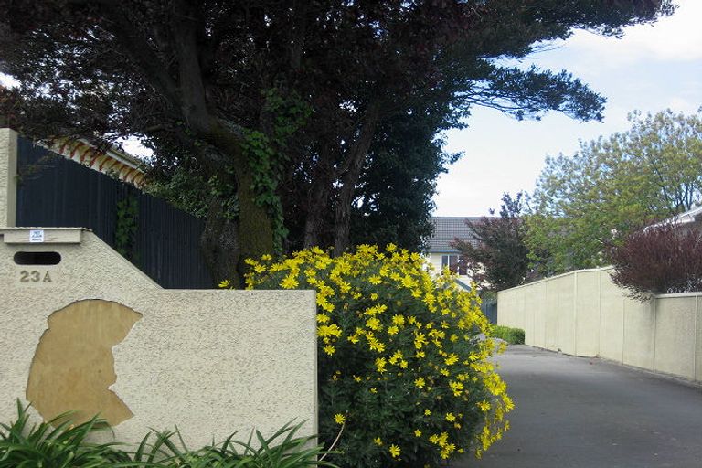 Photo of property in 23a Henry Street, Blenheim, 7201