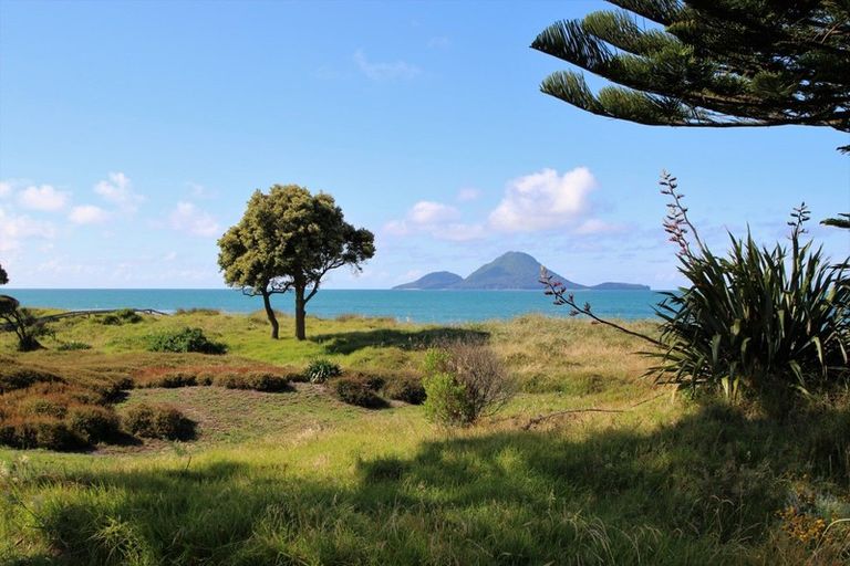 Photo of property in 41 Omega Place, Coastlands, Whakatane, 3120