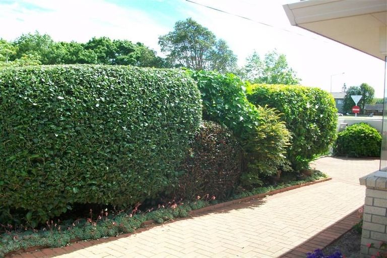 Photo of property in 59a Ngatai Road, Otumoetai, Tauranga, 3110