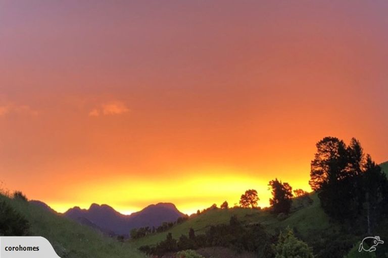 Photo of property in 113 Te Tutu Street, Whangamata, 3691