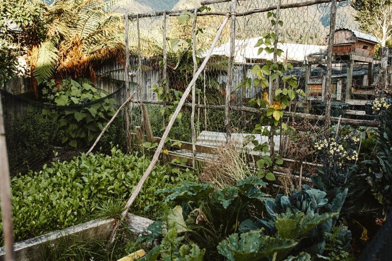 Photo of property in 17 Pekanga Drive, Fox Glacier, 7886