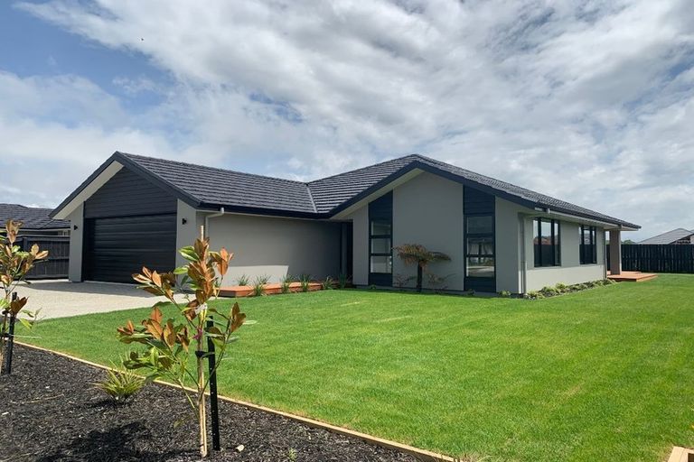 Photo of property in 36 Berryfield Drive, Richmond, 7020