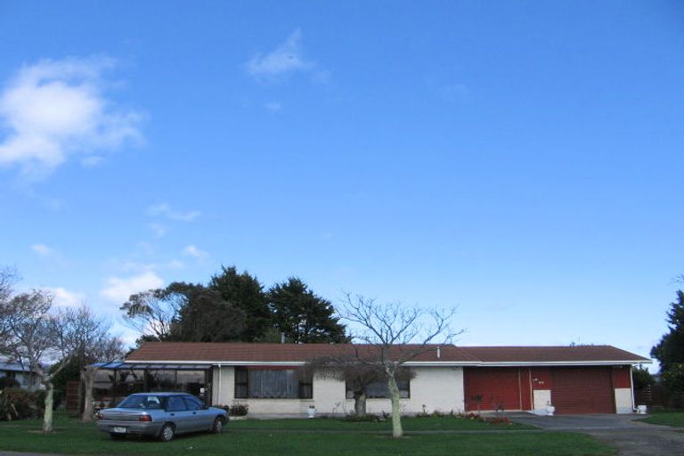 Photo of property in 153 Queen Street West, Levin, 5510