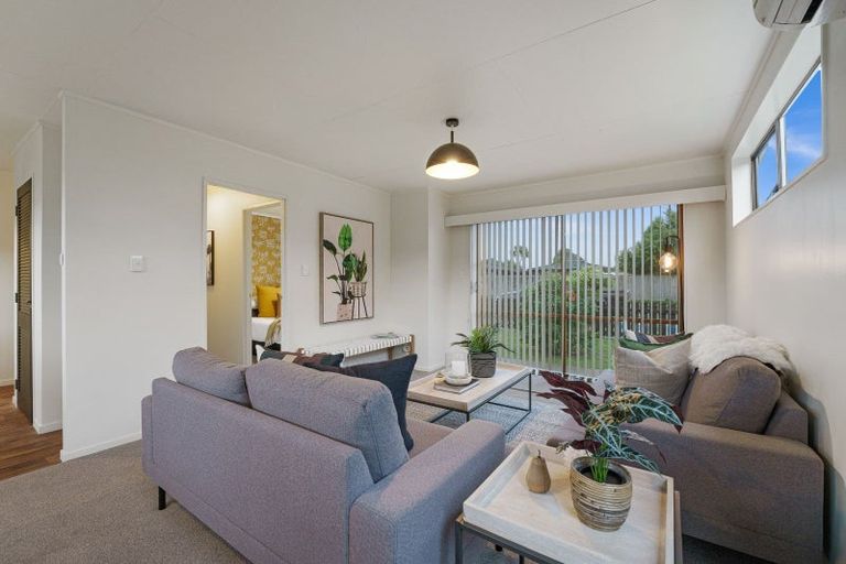 Photo of property in 3 Matipo Street, Levin, 5510