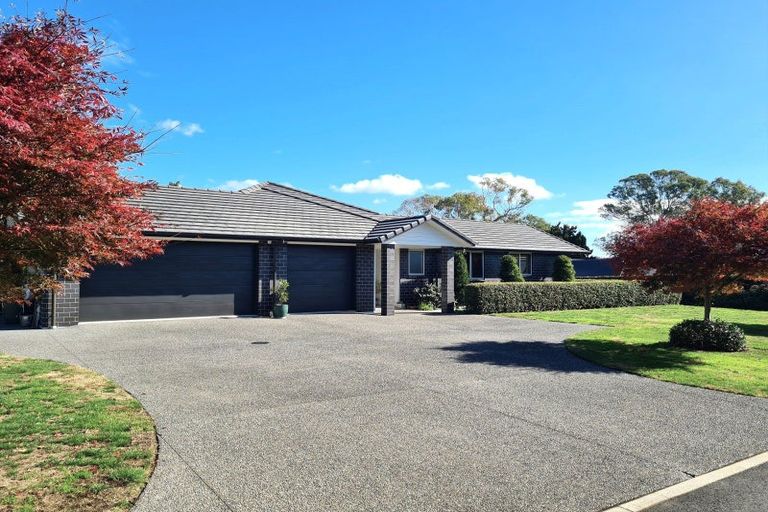 Photo of property in 8 Astelia Drive, Omokoroa, 3114