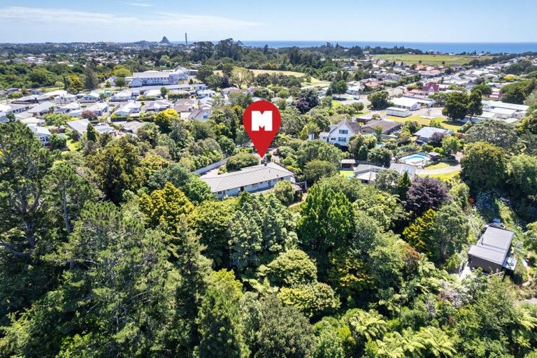 Photo of property in 15 Welbourn Terrace, Welbourn, New Plymouth, 4310