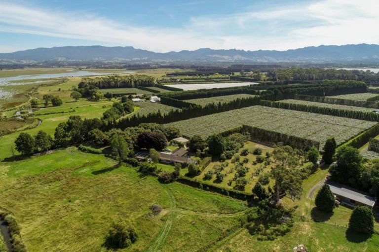 Photo of property in 380b Matahui Road, Aongatete, Katikati, 3181
