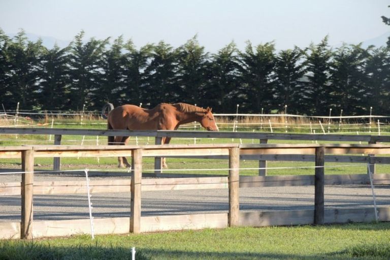 Photo of property in 535 Seadown Road, Seadown, Timaru, 7973
