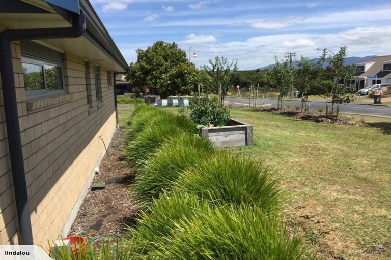 Photo of property in 1 Shrewsbury Place, Katikati, 3129