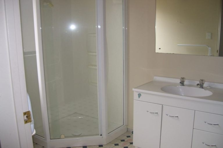 Photo of property in 102 Elizabeth Street, Riccarton, Christchurch, 8041