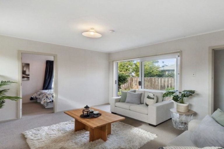 Photo of property in 53 Morris Road, Hillcrest, Hamilton, 3216