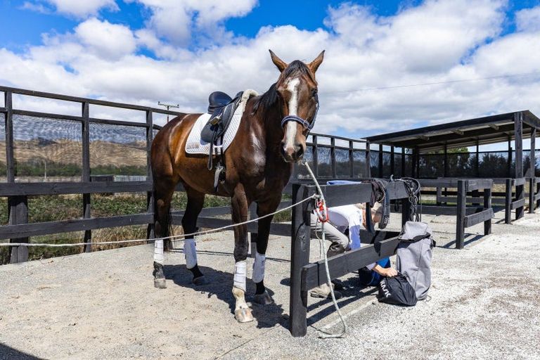 Photo of property in 81 Hardings Road, Riverlands, Blenheim, 7274
