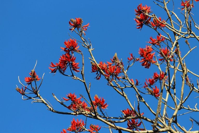 Photo of property in 1170 Cove Road, Langs Beach, Waipu, 0582