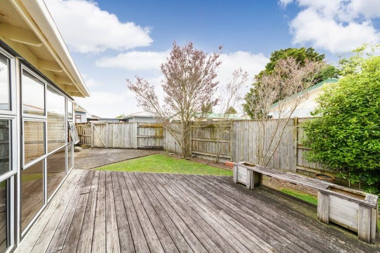 Photo of property in 23 Limbrick Street, Terrace End, Palmerston North, 4410