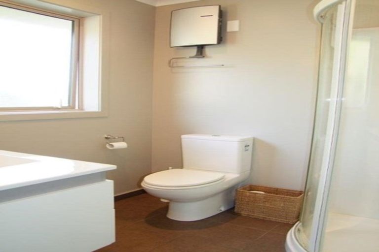 Photo of property in 21 Burns Street, Milton, 9220