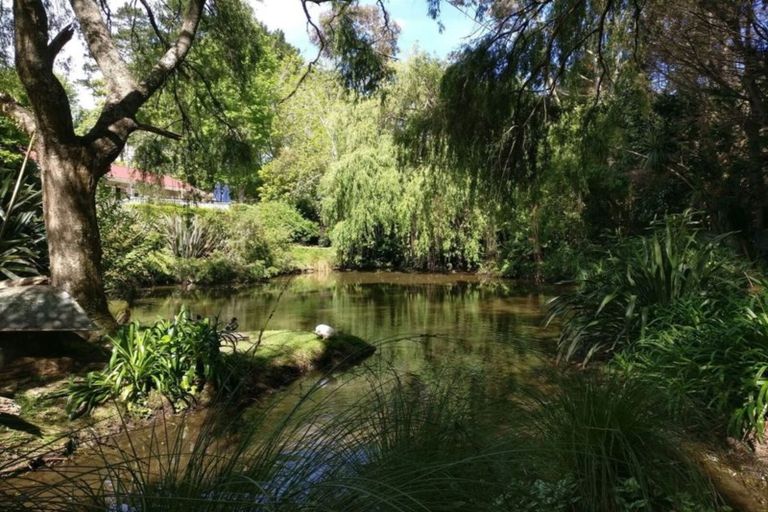 Photo of property in 65 Golding Road, Pukekohe, 2677