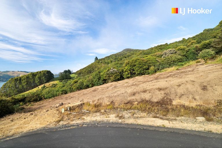 Photo of property in 65 Kakapo Street, Saint Leonards, Dunedin, 9022