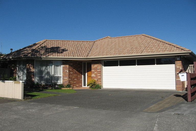 Photo of property in 1/358 College Street, West End, Palmerston North, 4410