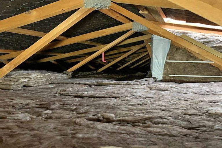 Photo of property in 54 Foster Road, Temple View, Hamilton, 3218