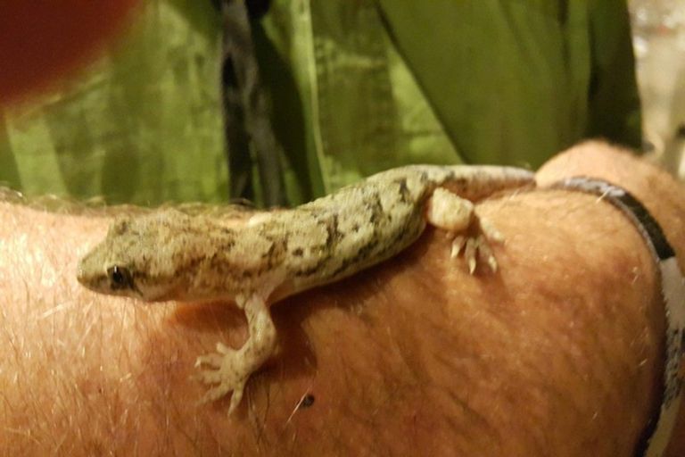 Photo of property in 143 Rayners Road, Hira, Nelson, 7071