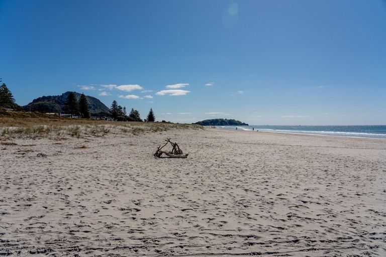 Photo of property in Paramount Apartments, 14/281 Maunganui Road, Mount Maunganui, 3116