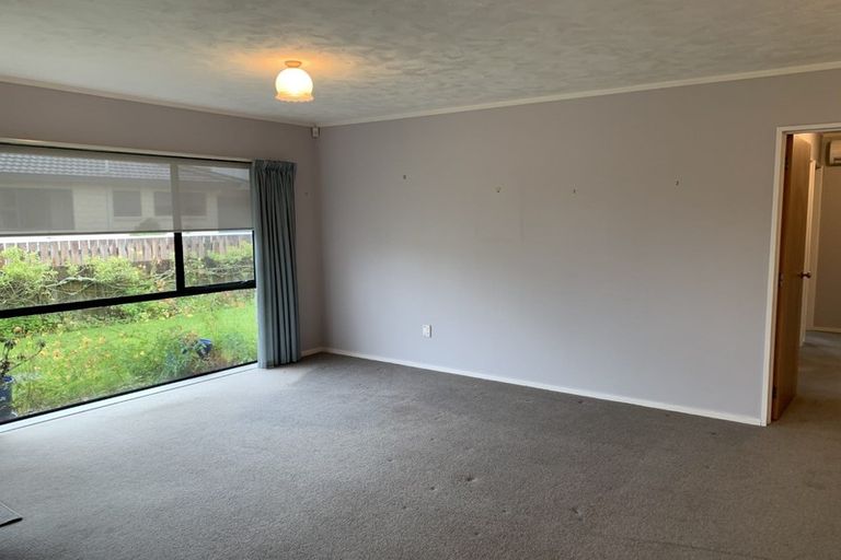 Photo of property in 124 Winchester Street, Levin, 5510