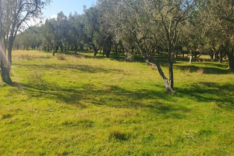 Photo of property in 1924 Parewanui Road, Parewanui, Bulls, 4894