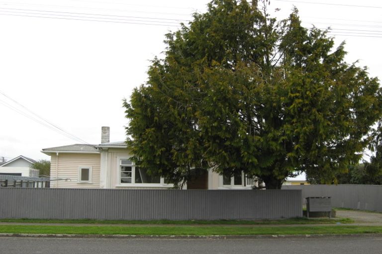 Photo of property in 6 Roosevelt Street, Levin, 5510