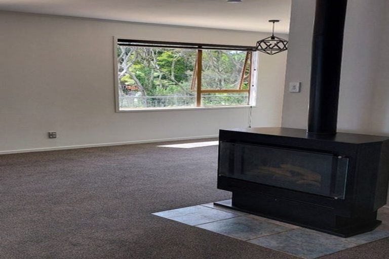 Photo of property in 183 Manuka Road, Bayview, Auckland, 0629