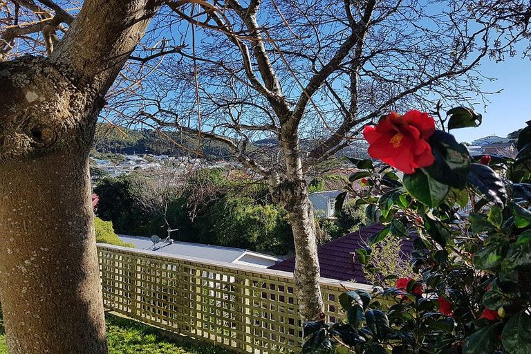 Photo of property in 98 Melbourne Street, South Dunedin, Dunedin, 9012